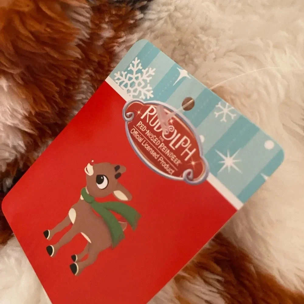 NWT Rudolph Jogger Set